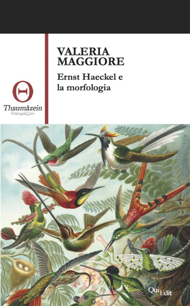 Valeria Maggiore - Ernst Haeckel e la morfologia
